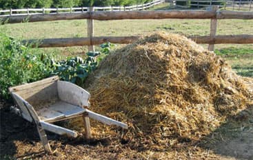 Haufen aus kompostiertem biologisch abbaubarem Material